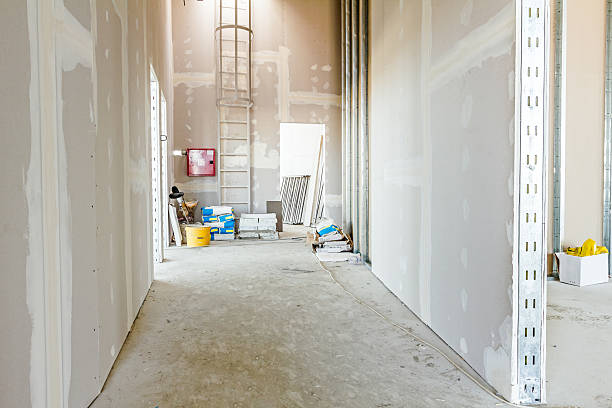 Best Airborne Mold Testing  in Waynesboro, MS