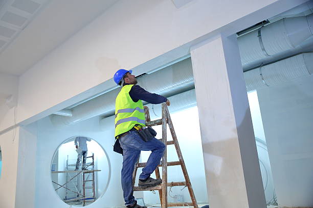 Best Commercial Mold Inspection  in Waynesboro, MS
