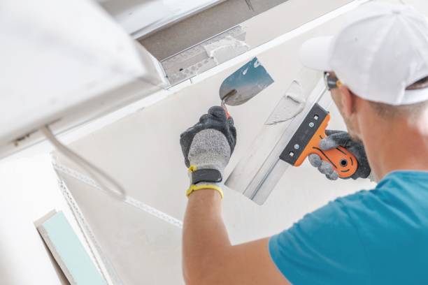 Best Forensic Mold Investigation  in Waynesboro, MS